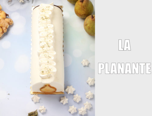 Bûche Glacée la Planante : CBD-Poire