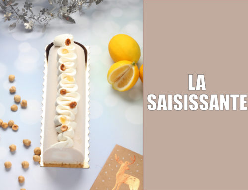 Bûche glacée la Saisissante : Citron-Noisette